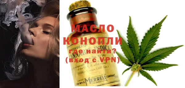 амф Бородино