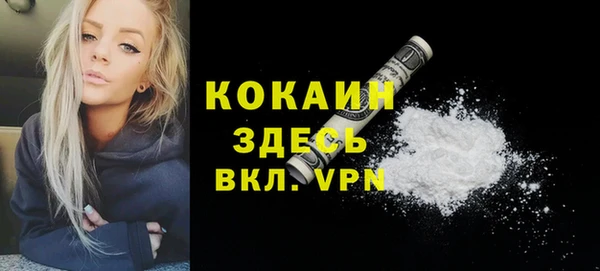 амф Бородино