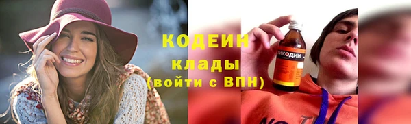 амф Бородино