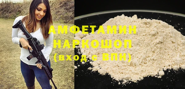 амф Бородино