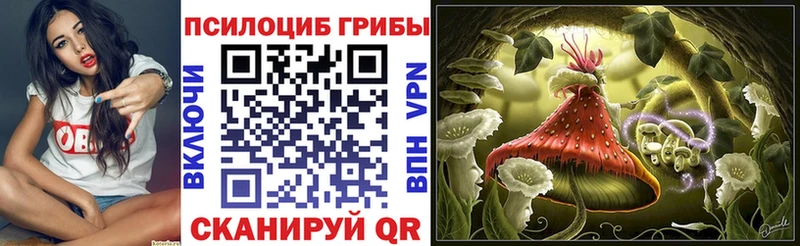Галлюциногенные грибы мицелий  Купить закладки  Алзамай 