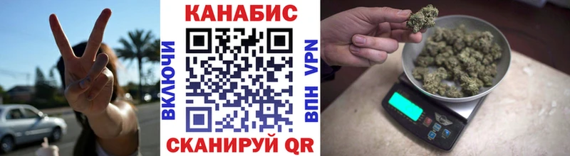 Марихуана сатива  Купить закладки  Алзамай 
